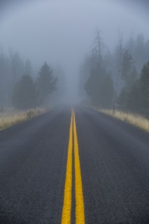 Double yellow lined highway leads into foggy forest