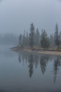 Foggy lake shoreline