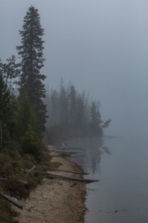 Foggy lake shoreline in mountains