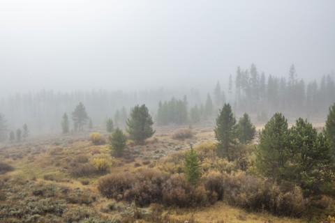 Foggy mountain scene