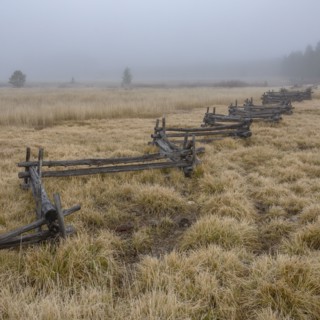 Rural scene with rail fence