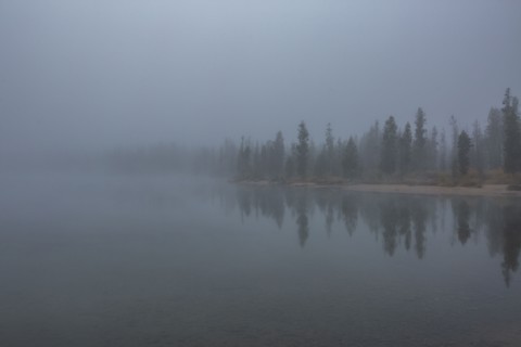 Fog over lake and forest in autumn