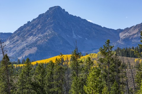 Scenic mountain in autumn