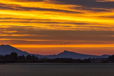 Sunrise over foothills
