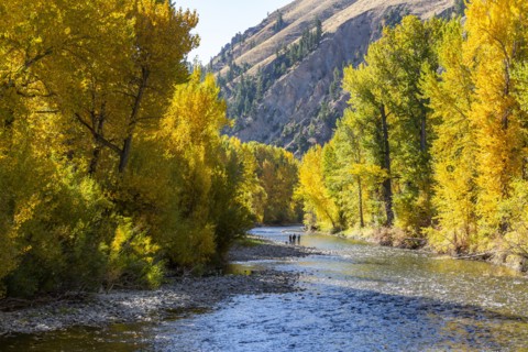 Distant view of family admires fall along river in autumn