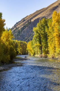 Distant view of family admires fall along river in autumn