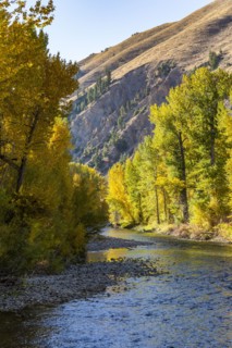 Big Wood River in fall