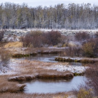 Seasonal change in landscape