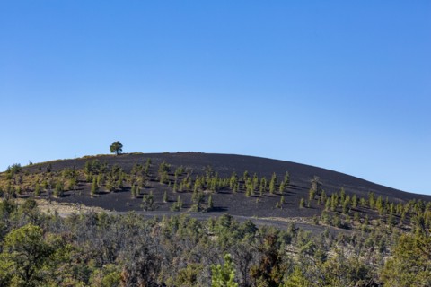 Landscape with cinder cone