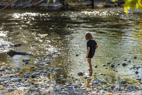 Girl exploring river shallows in summer
