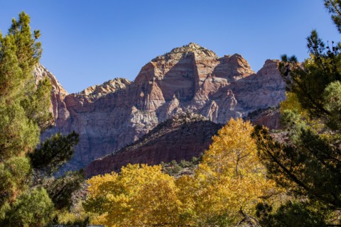 Mountains and autumn foliage