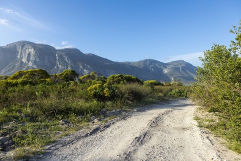 Dirt road and Klein mountains