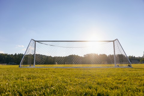 Soccer goal in field in sunshine