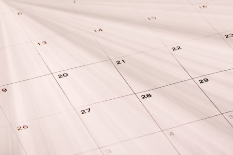 Full frame of blank wall calendar