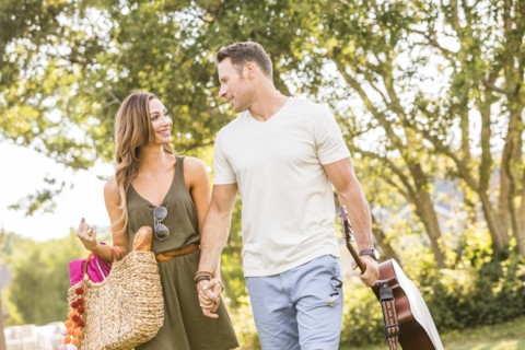 Woman and man holding hands and going for picnic in park