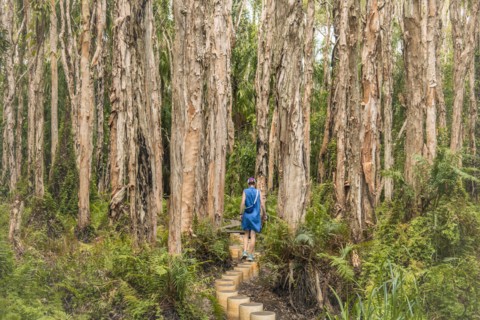 Australia