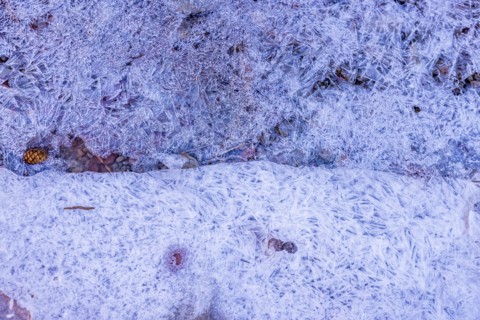 Frozen creek in winter in Zion National Park