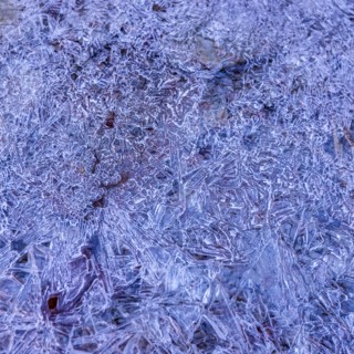 Frozen creek in winter in Zion National Park