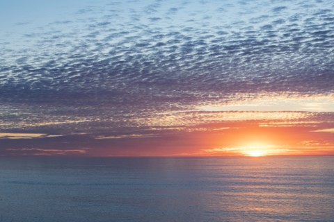 Big Sur seascape at sunset