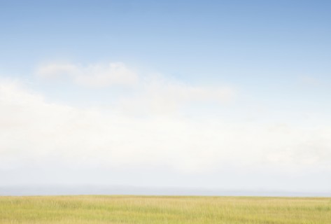 Sky above grass near beach