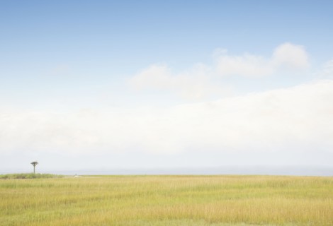 Sky above grass near beach