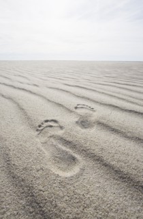 Footprints on rippled sand on beach