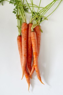 Overhead view of bunch of carrot against white background