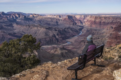 Rear view of female tourist sitting on bench in Grand Canyon National Park