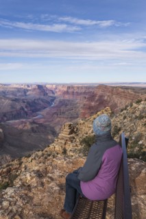 Rear view of female tourist sitting on bench in Grand Canyon National Park