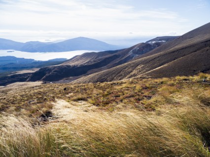 Volcanic landscape