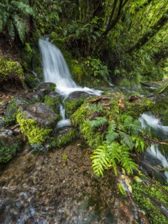 Waterfall in forest
