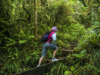 Hiker walking on stairs in forest