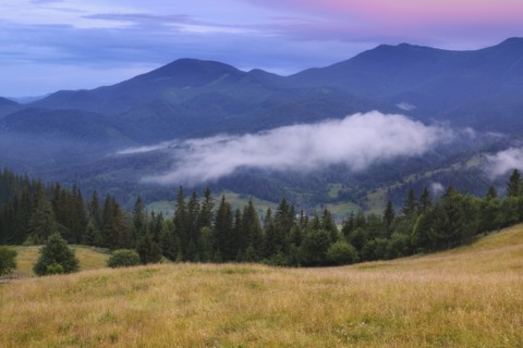 Rolling landscape in Carpathian Mountains