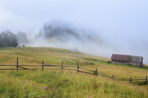 Foggy rural landscape in Carpathian Mountains