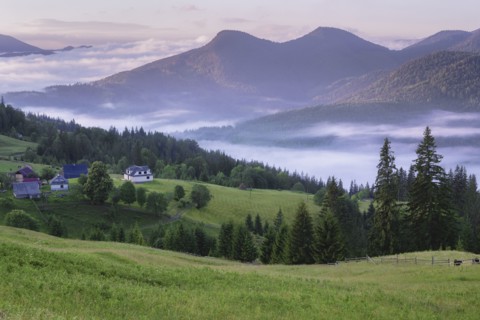 Rolling landscape in Carpathian Mountains