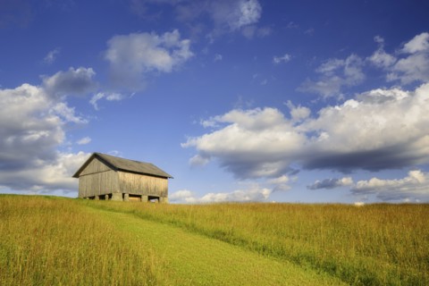 Wooden hut in rural landscape in Carpathian Mountains