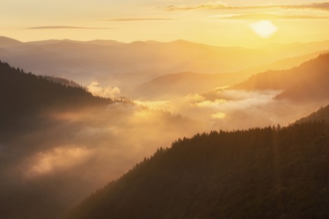 Foggy Carpathian Mountains landscape at sunset