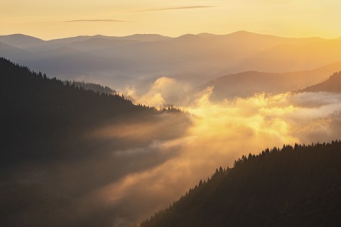 Foggy Carpathian Mountains landscape at sunset