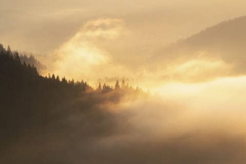 Foggy Carpathian Mountains landscape at sunset