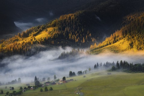 Foggy rolling landscape in Carpathian Mountains at sunset