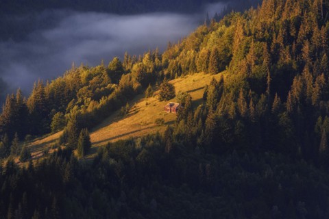 Sunlight rolling landscape in Carpathian Mountains at sunset