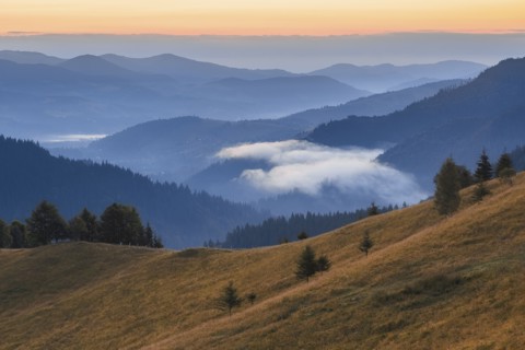 Rolling landscape in Carpathian Mountains at sunset