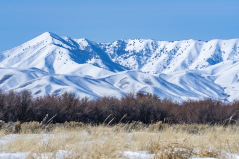 Scenic view of landscape with snowcapped mountain
