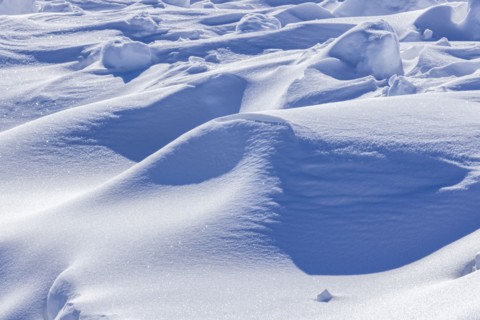 Close-up of sheet of snow at sunny day