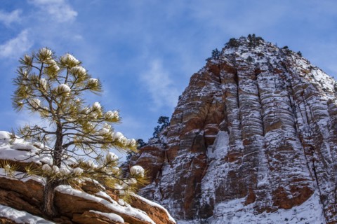Scenic view of mountain peak in winter
