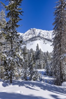 Scenic view of mountains and forest in winter