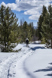 Senior woman hiking in snowy forest