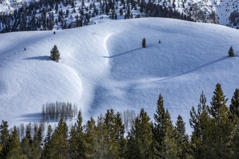 Snow-covered mountain slope with trees