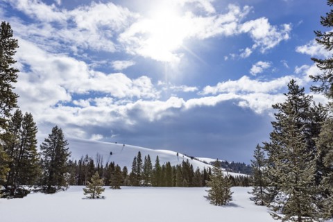 Winter scenery at sunny day