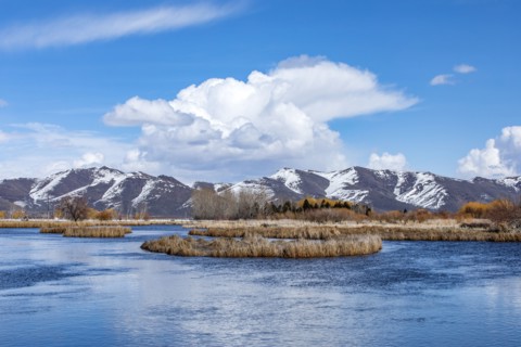 Puffy clouds above mountains and marsh